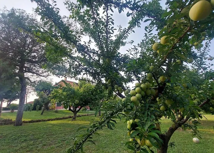 Σπίτι διακοπών Casale Oasi Di Pace Wi Fi Posto Auto Ρώμη
